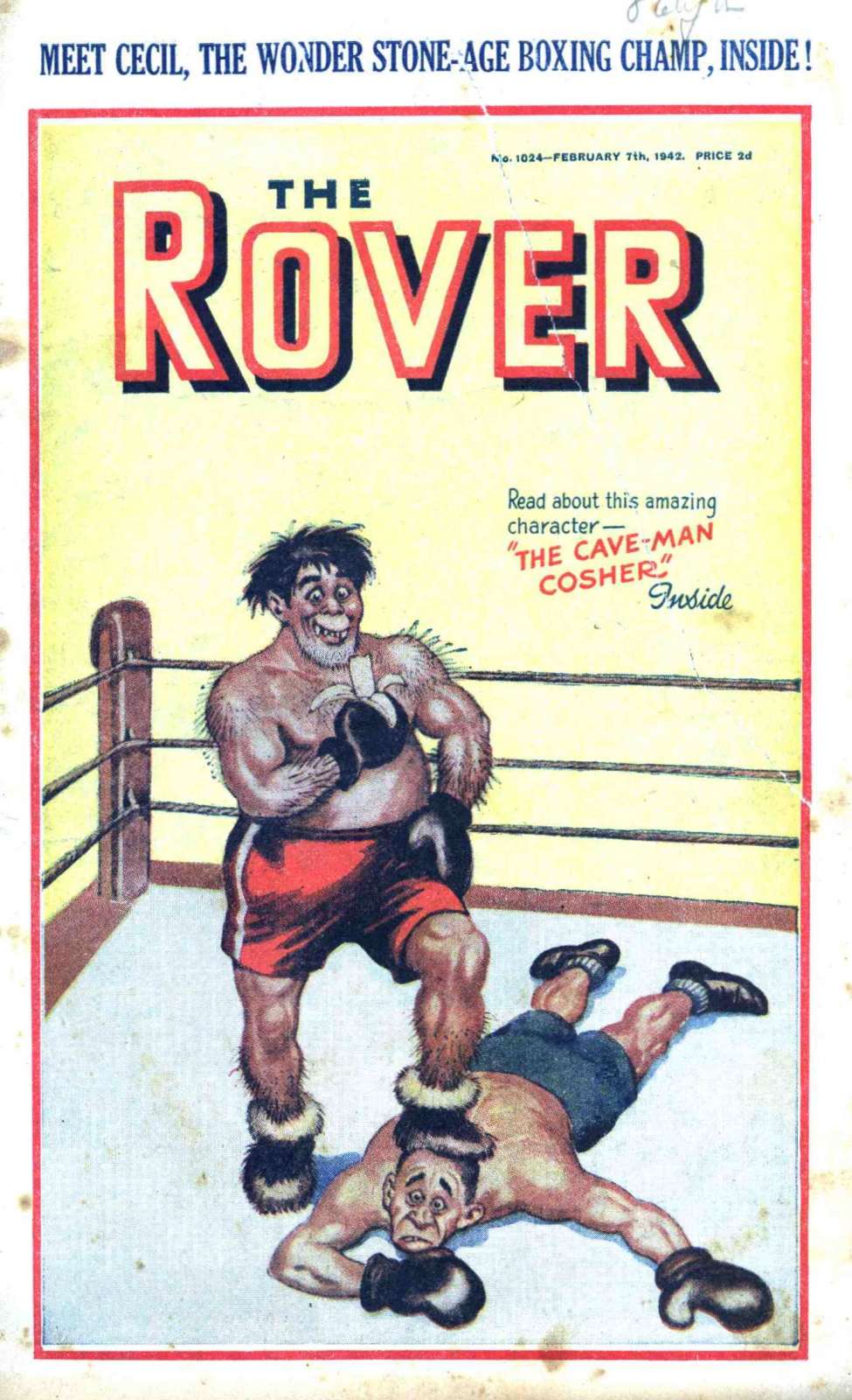 Book Cover For The Rover 1024