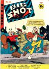 Cover For Big Shot 65