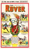 Cover For The Rover 1206