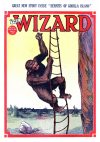 Cover For The Wizard 572