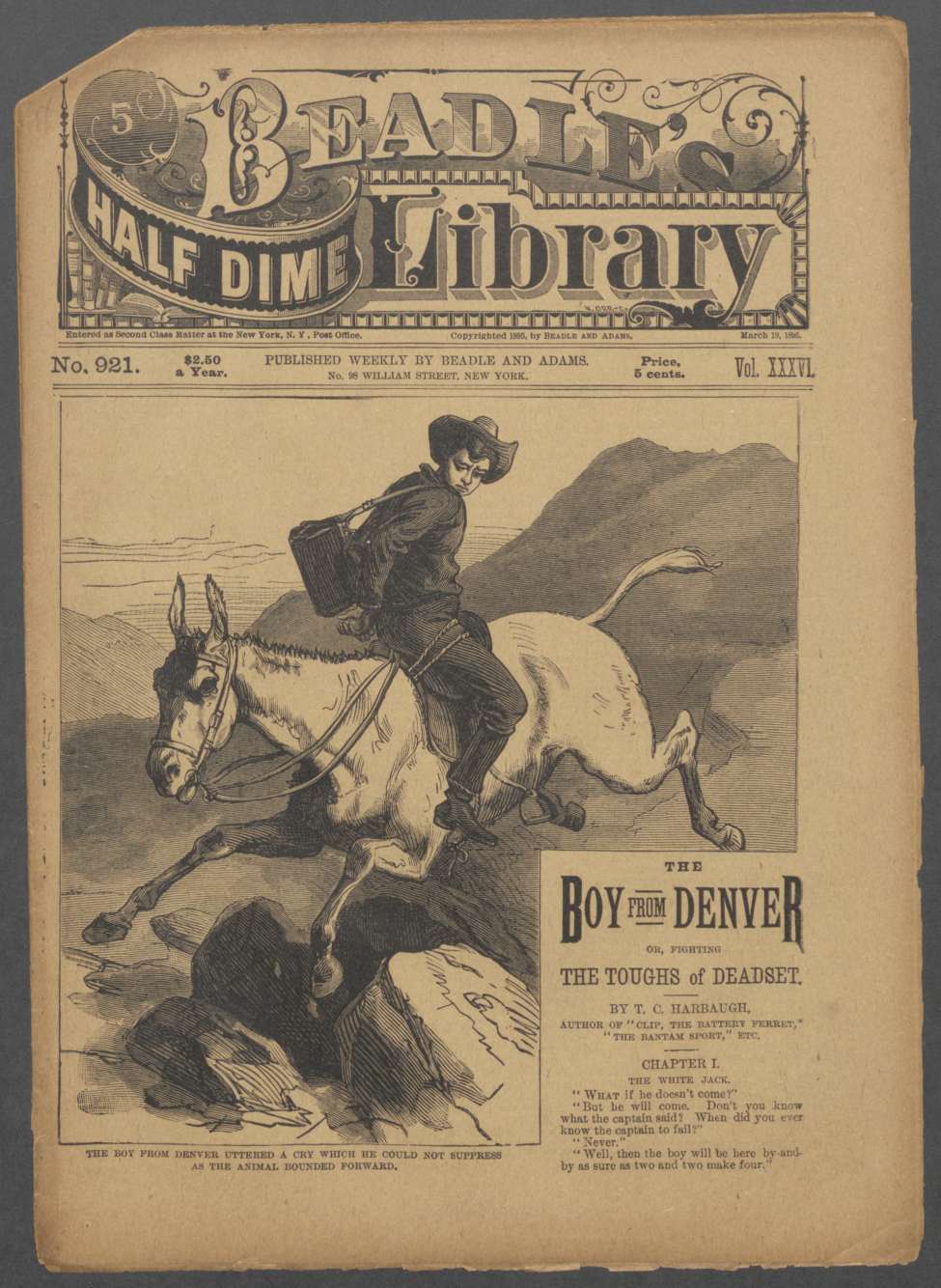 Book Cover For Beadle's Half Dime Library 921 - The Boy from Denver