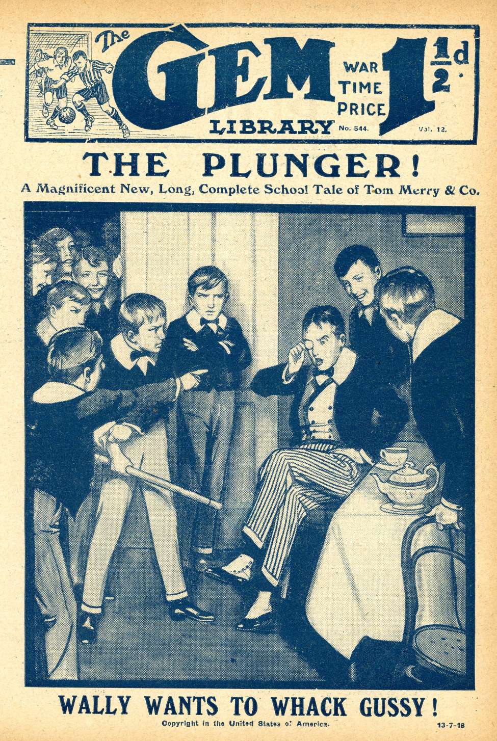 Book Cover For The Gem v2 544 - The Plunger
