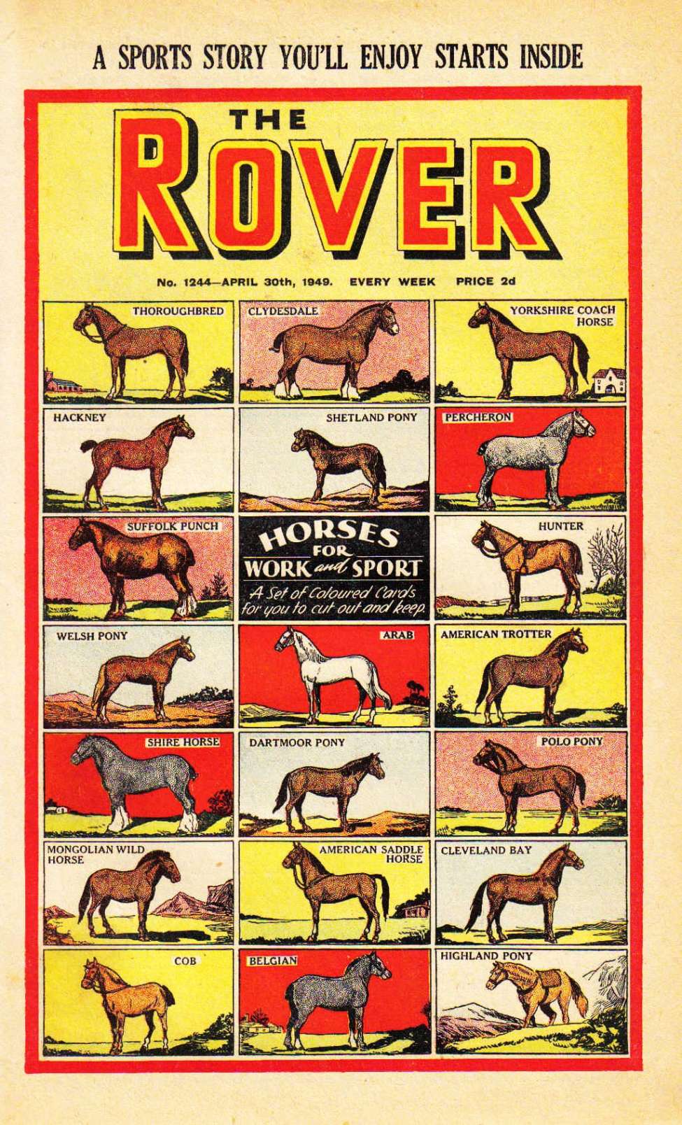 Book Cover For The Rover 1244