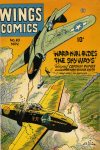 Cover For Wings Comics 63