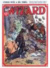 Cover For The Wizard 785