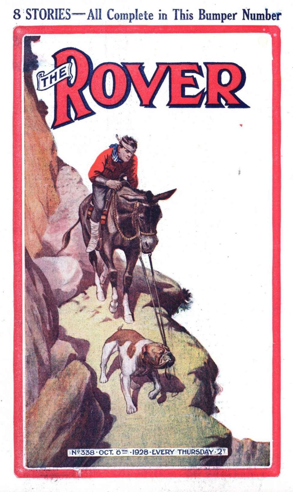 Book Cover For The Rover 338