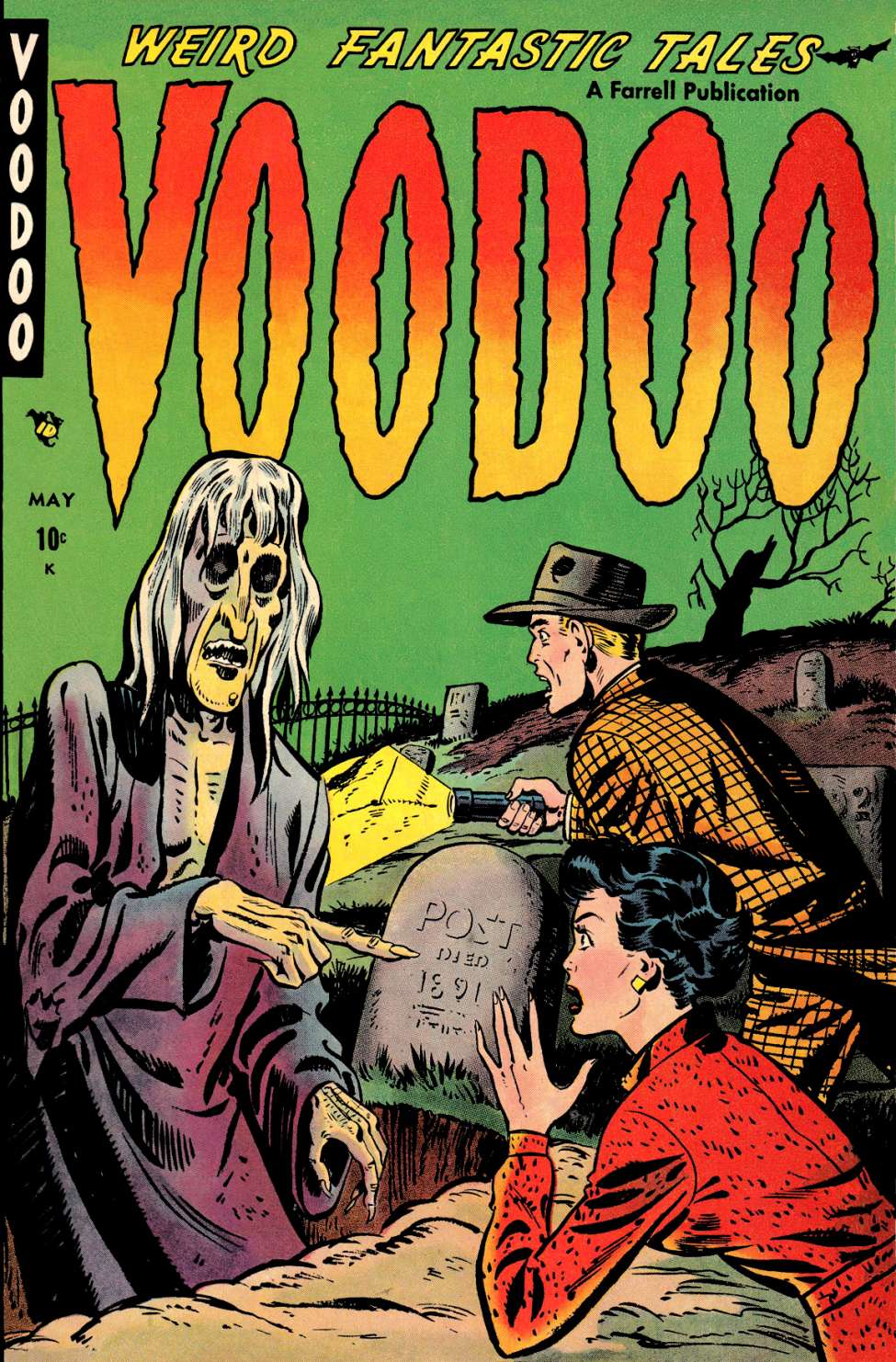Comic Book Cover For Voodoo 1