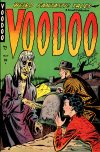 Cover For Voodoo 1
