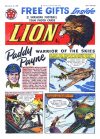 Cover For Lion 398