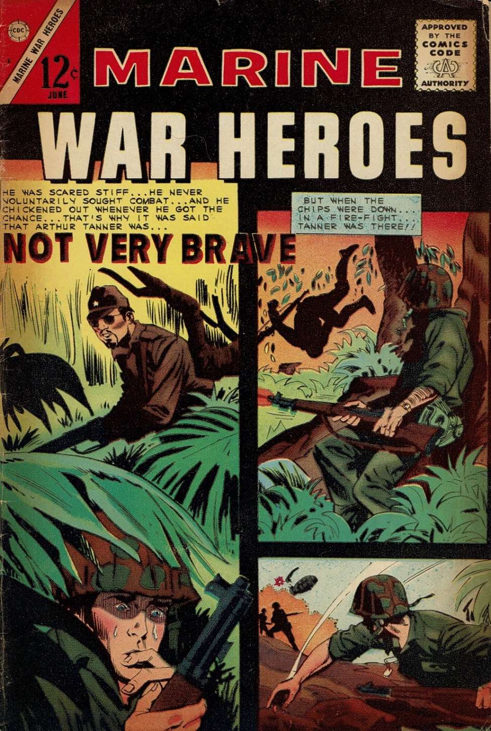 Book Cover For Marine War Heroes 8