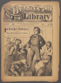 Large Thumbnail For Beadle's Half Dime Library 877 - New York Nat's Trump Card