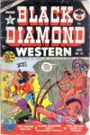Cover For Black Diamond Western 25