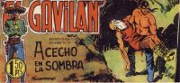 Large Thumbnail For El Gavilan 22 - Acecho en la Sombra