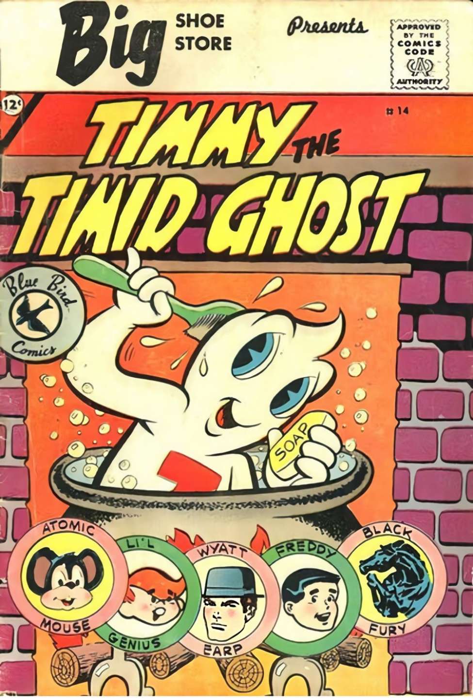 Book Cover For Timmy the Timid Ghost 14 (Blue Bird)