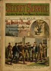 Cover For Secret Service 113 - The Bradys Defied