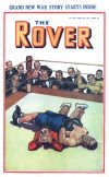 Cover For The Rover 1028
