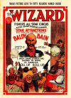 Cover For The Wizard 772