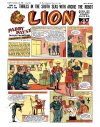 Cover For Lion 349