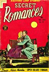 Cover For Secret Romances 22