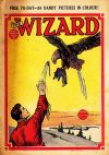 Cover For The Wizard 581