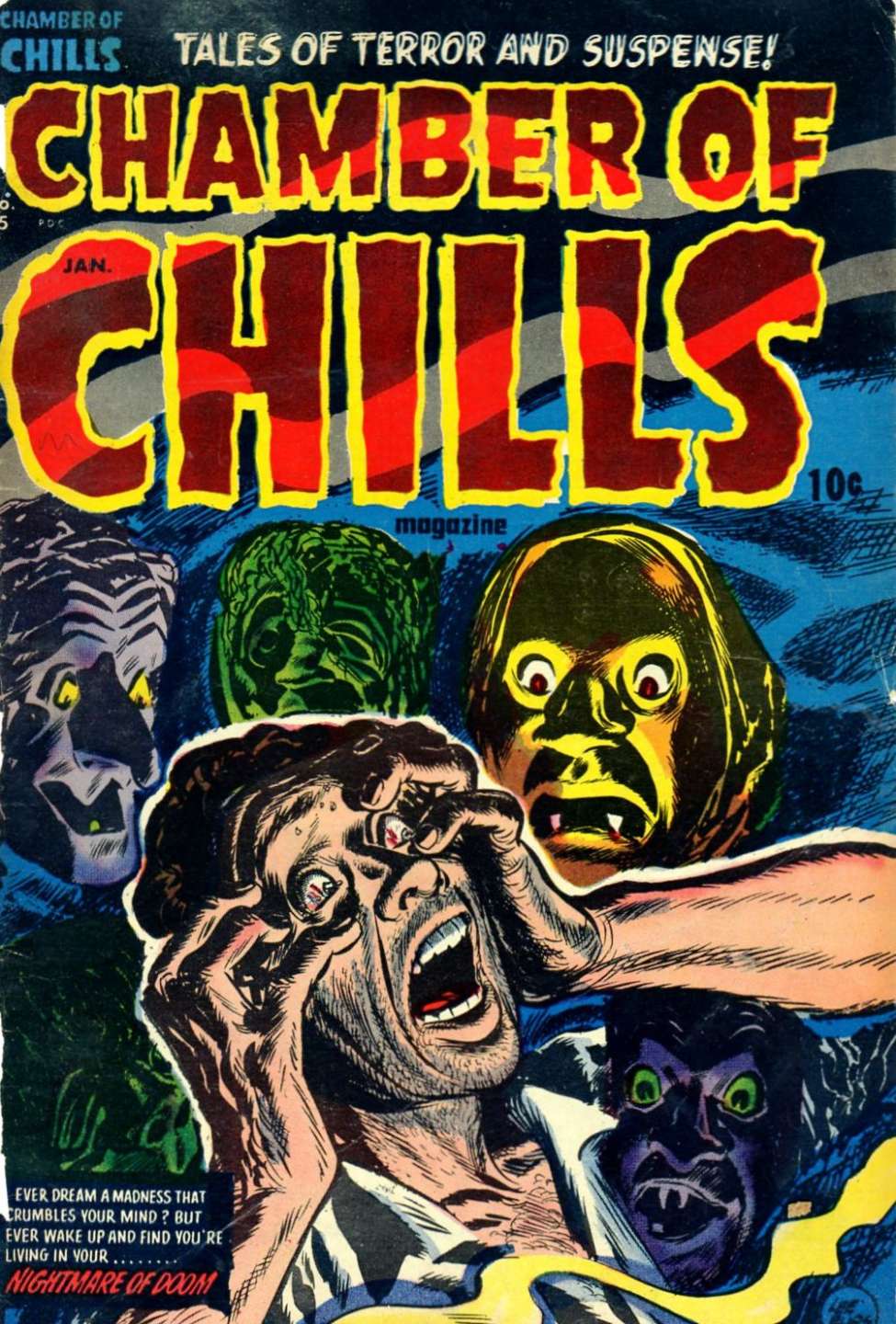 Book Cover For Chamber of Chills 15
