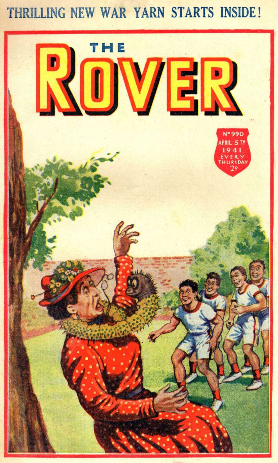 Book Cover For The Rover 990