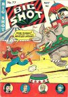 Cover For Big Shot 77