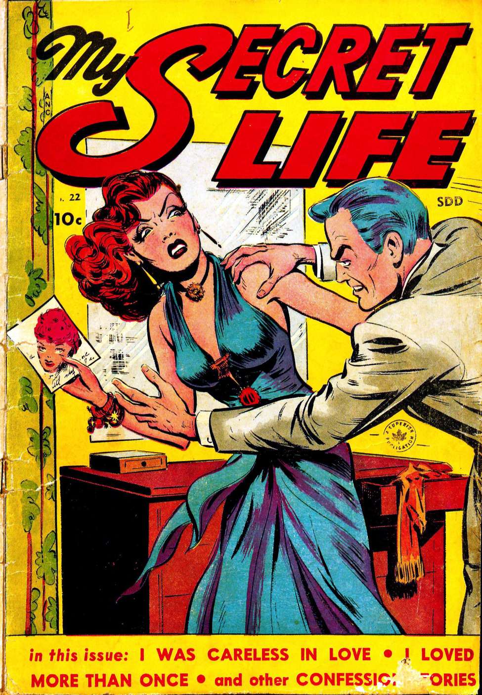 Book Cover For My Secret Life 22