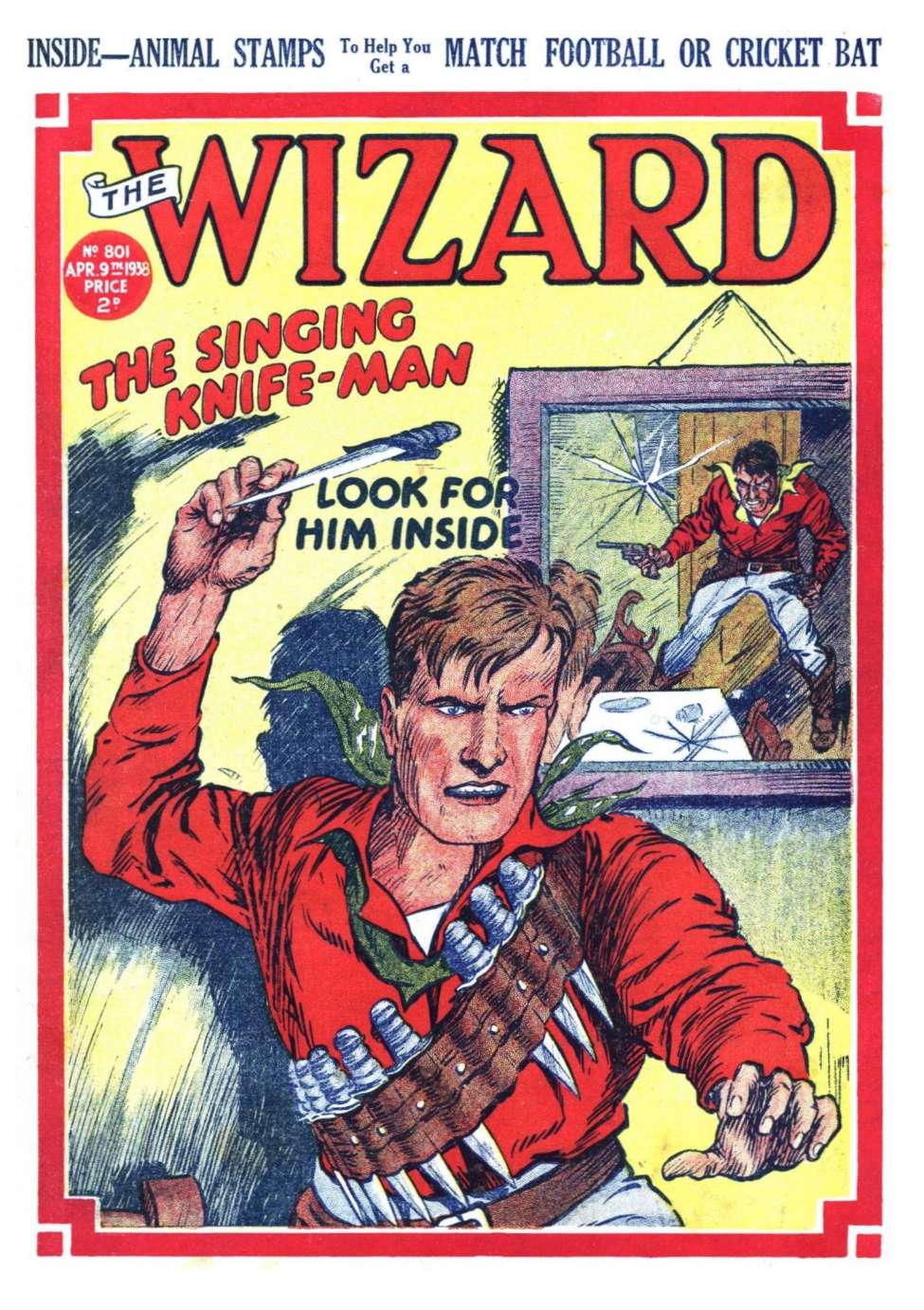 Book Cover For The Wizard 801