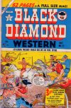 Cover For Black Diamond Western 21