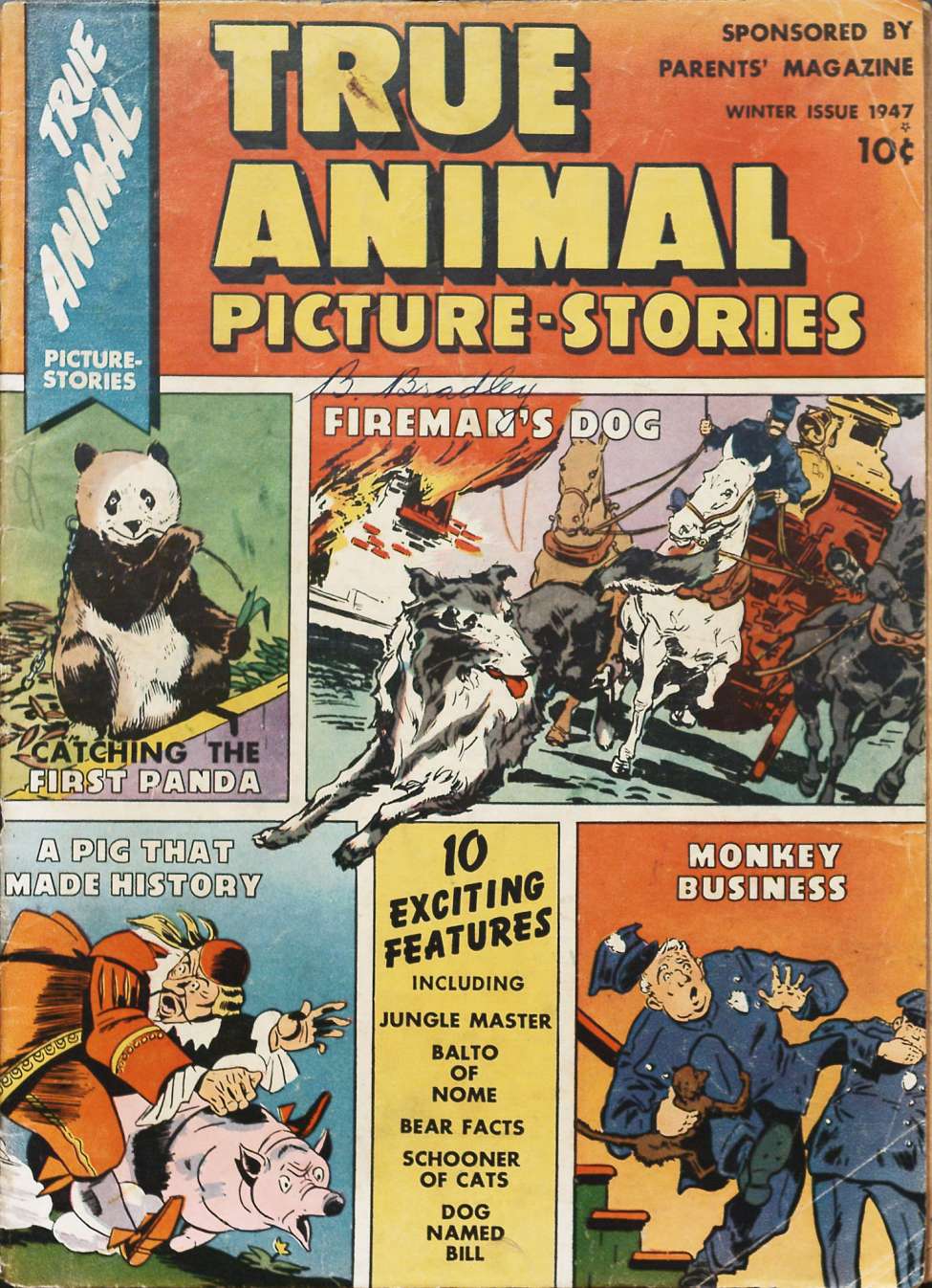 Comic Book Cover For True Animal Picture Stories 1