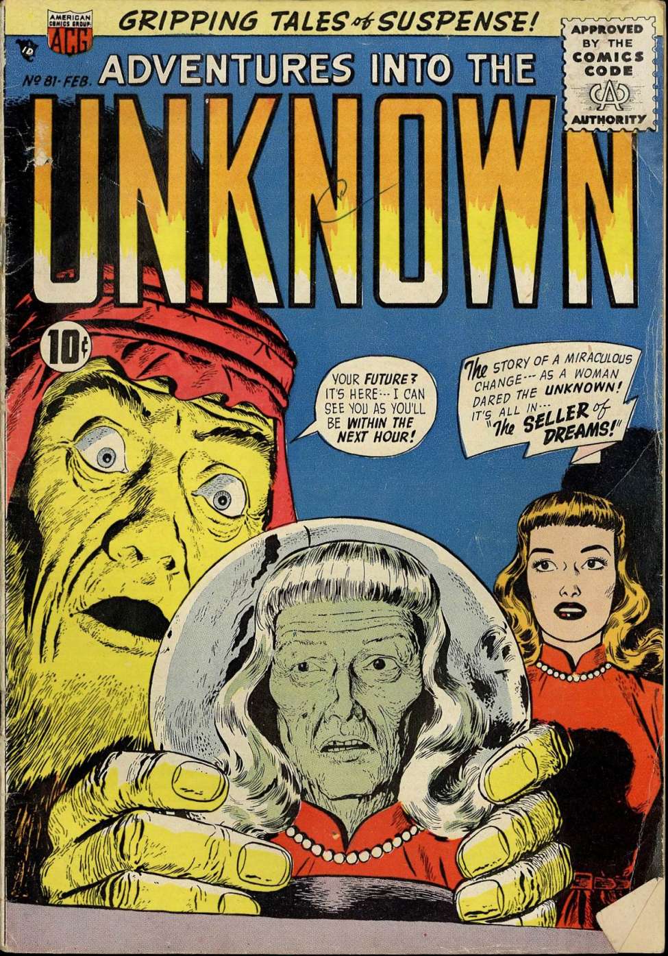 Book Cover For Adventures into the Unknown 81