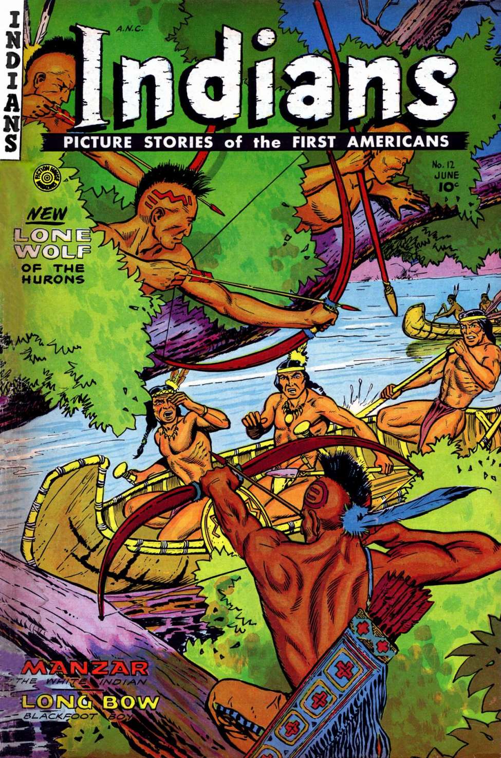 Book Cover For Indians 12