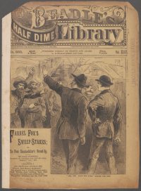 Large Thumbnail For Beadle's Half Dime Library 893 - Farrel Fox's Sweep-Stakes