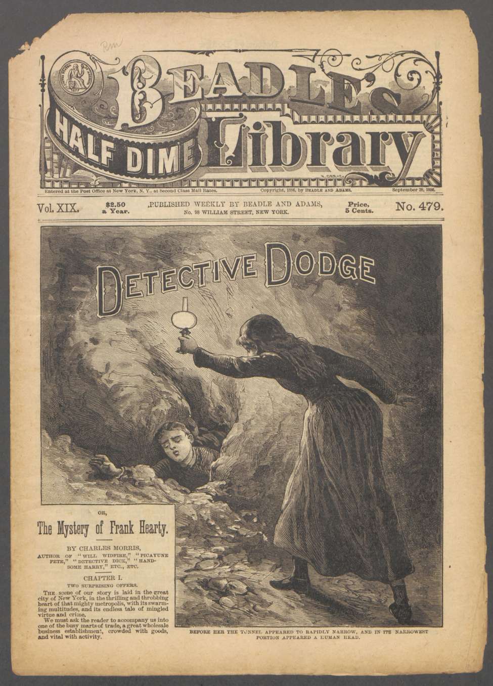 Book Cover For Beadle's Half Dime Library 479 - Detective Dodge