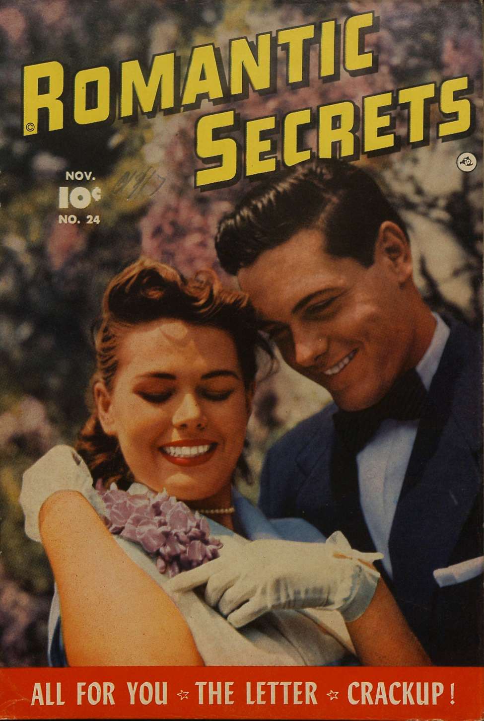 Book Cover For Romantic Secrets 24