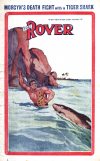 Cover For The Rover 394