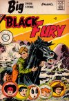 Cover For Black Fury 2 (Blue Bird)