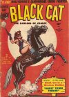 Cover For Black Cat 12