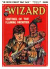 Cover For The Wizard 754