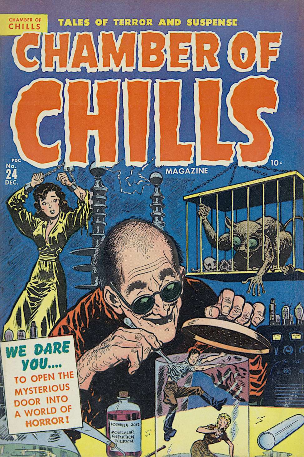 Book Cover For Chamber of Chills 4 (24) - Version 2