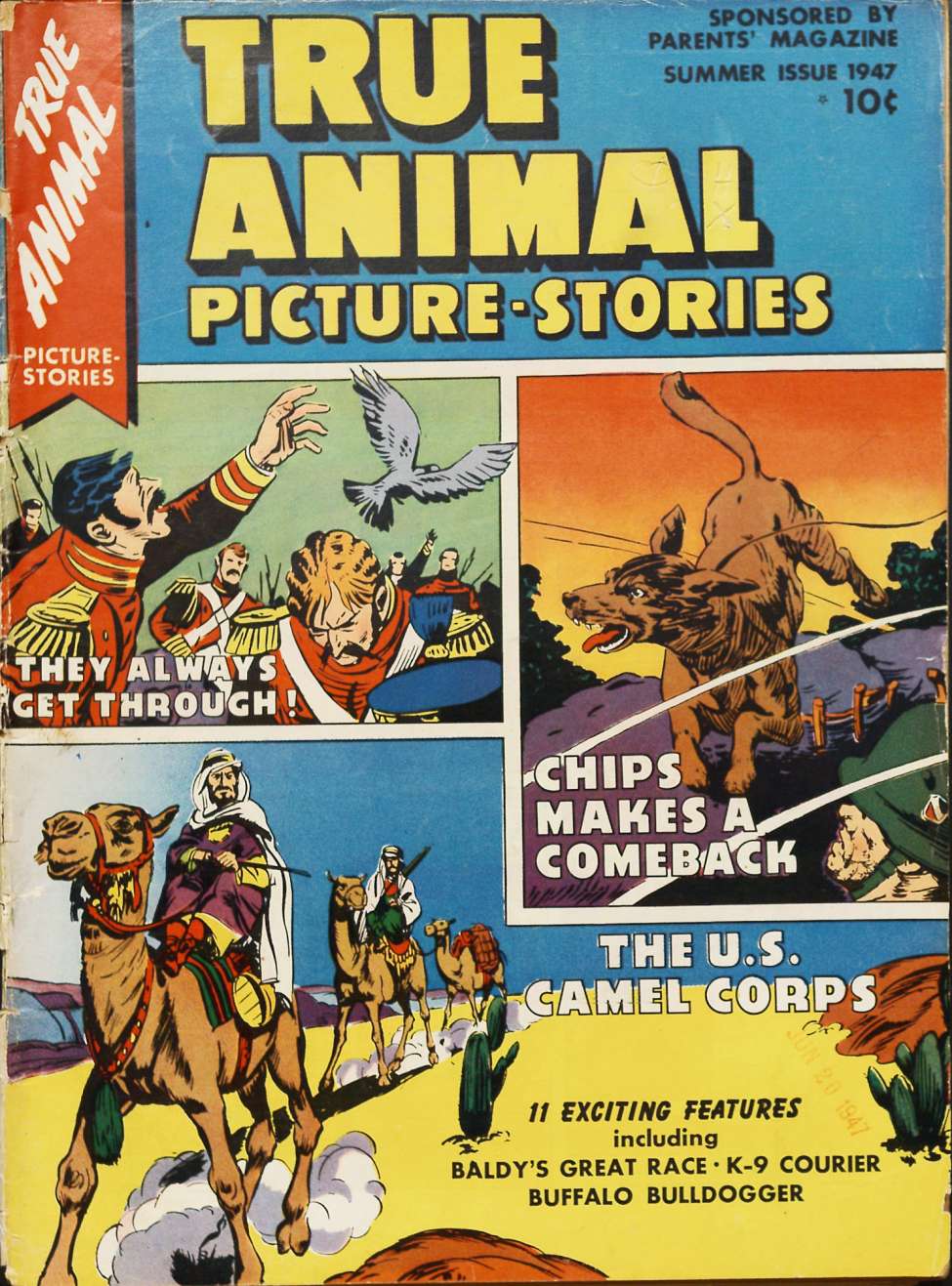 Book Cover For True Animal Picture Stories 2