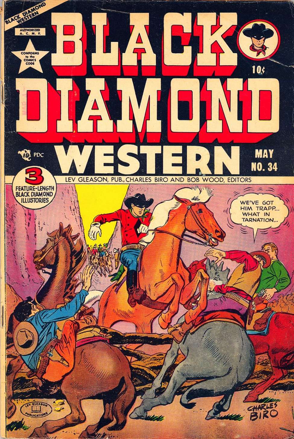 Book Cover For Black Diamond Western 34