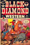 Cover For Black Diamond Western 34