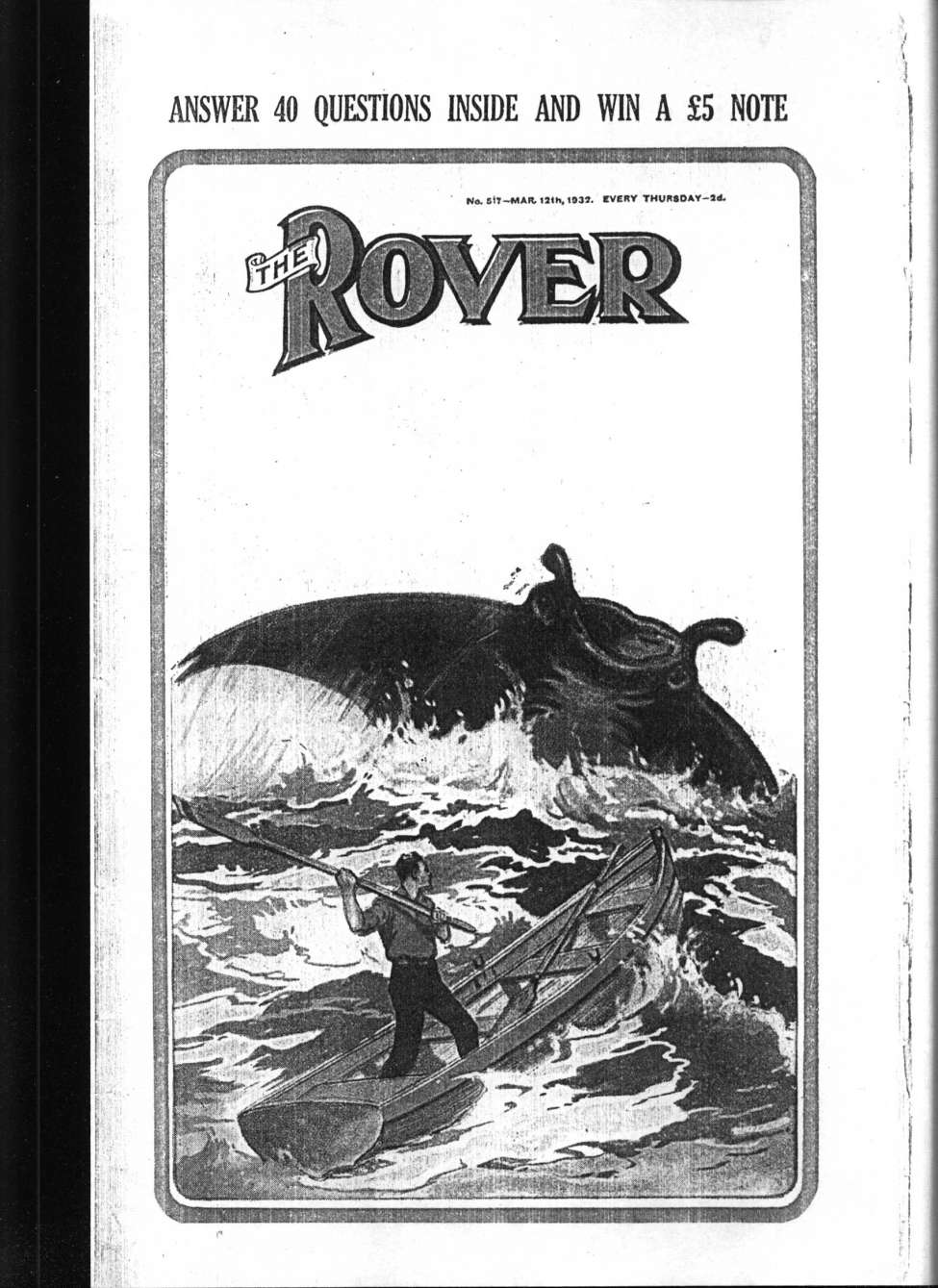 Book Cover For The Rover 517