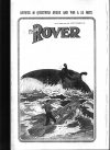 Cover For The Rover 517