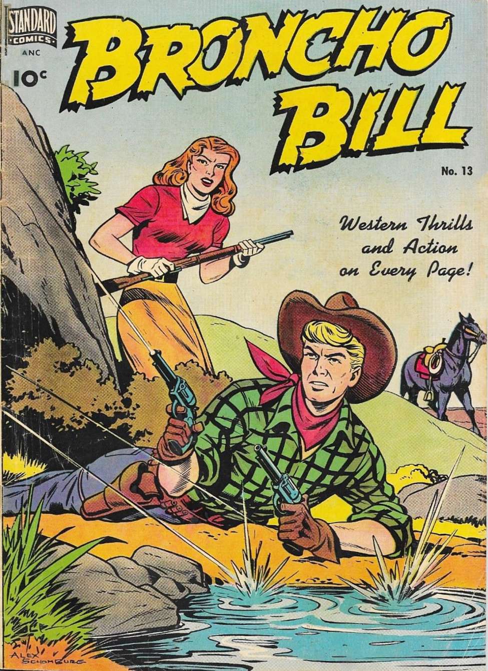 Book Cover For Broncho Bill 13