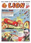 Cover For Lion 34