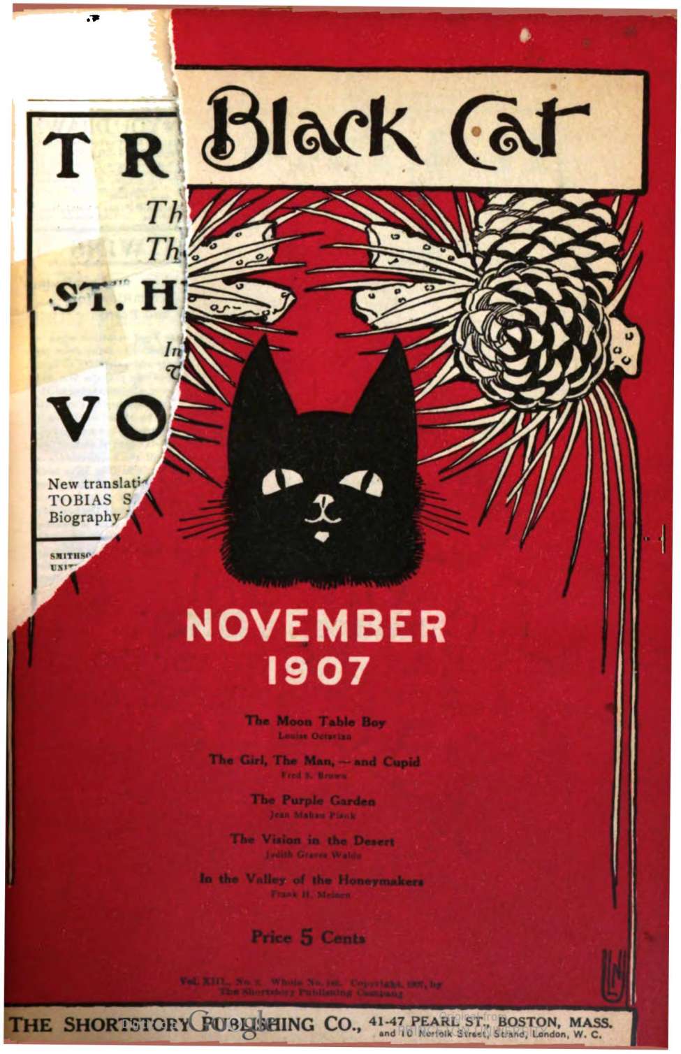 Book Cover For The Black Cat v13 2 - The Moon Table Boy - Louise Octavian