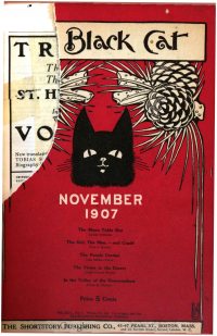 Large Thumbnail For The Black Cat v13 2 - The Moon Table Boy - Louise Octavian